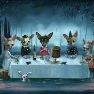 Meet your Posher, Pamela